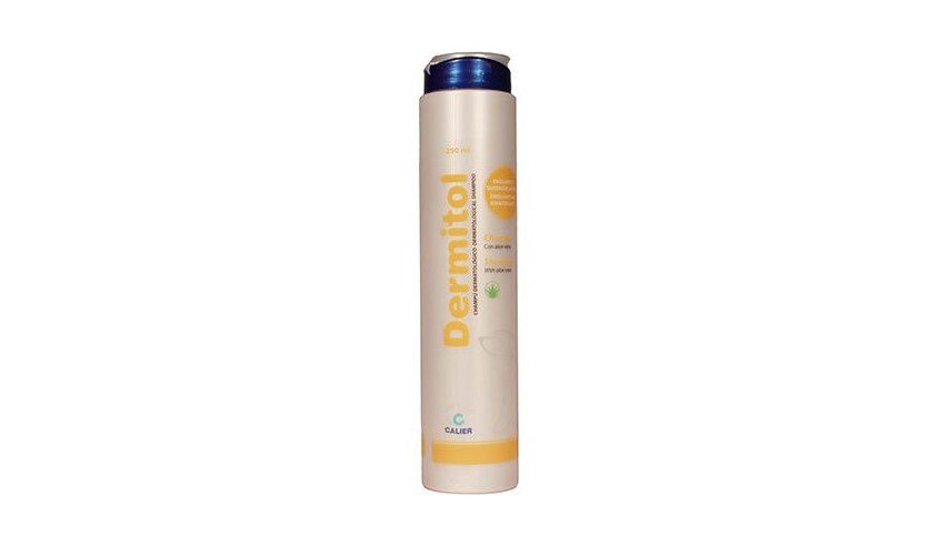CHAMPU DERMITOL 250 ML