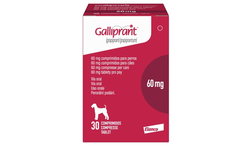 GALLIPRANT 60 MG 30 TAB X 1BOTL AO