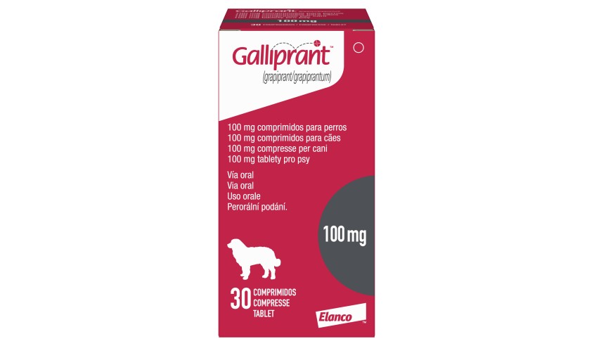 GALLIPRANT 100 MG 30 TAB X1 BOTL AO