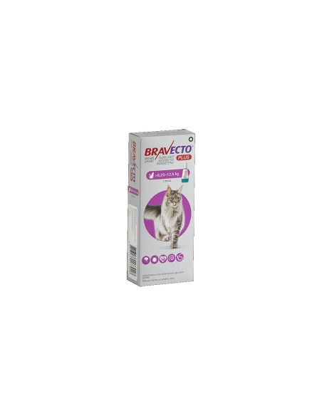 BRAVECTO PLUS CAT 500 MG 1 X 1 DS