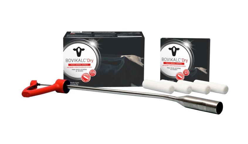 BOVIKALC DRY BOLOS ORAL CLINICO 6 X 4 196 GR