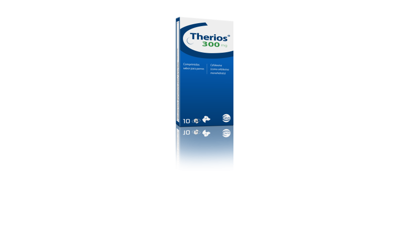 THERIOS 300 MG - PERRO - 10 COMP