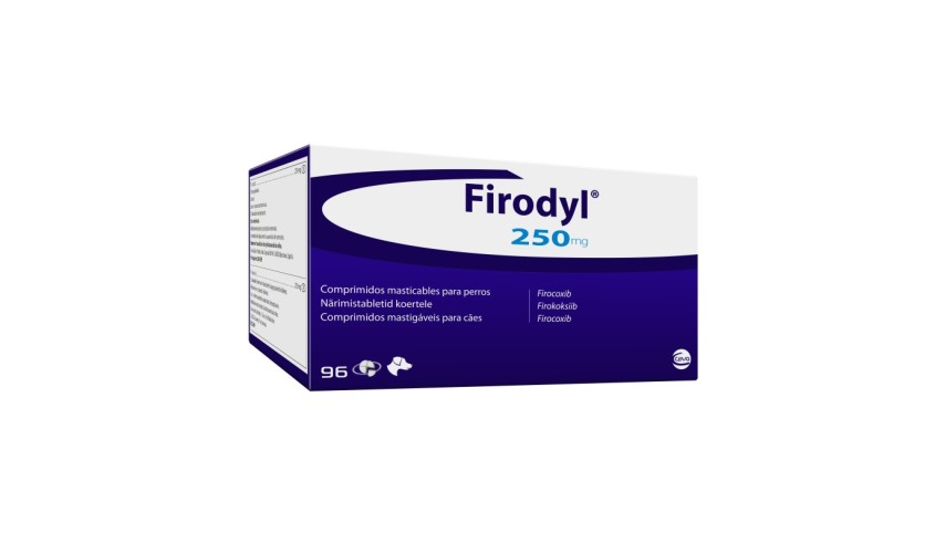 FIRODYL 250 MG 96 COMP