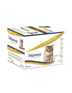 FELPREVA GATO MEDIANO...