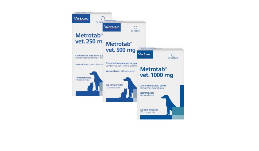 METROTAB VET 250 MG 100 CP