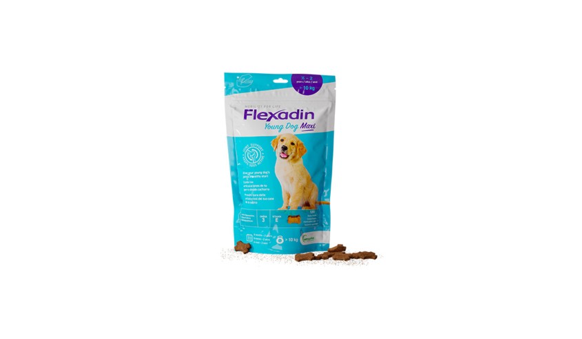FLEXADIN SOFT CHEW MAXI PUPPY 60 TABS