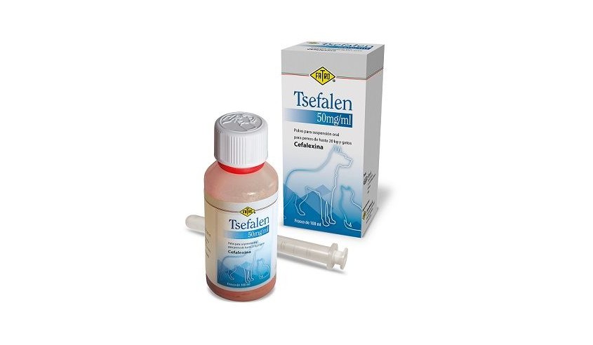 TSEFALEN 50 MG SO 100 ML