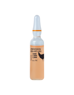 PREVEXXION RN HVT IBD 2.000...