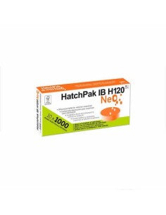 HATCHPAK IB-H120 NEO 10 X...
