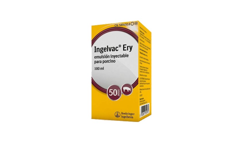 INGELVAC ERY 100 ML 50 DS