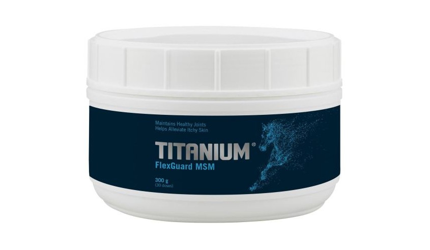 TITANIUM FLEXGUARD MSM 300 GR