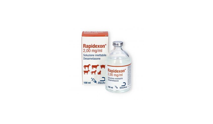 RAPIDEXON 2 MG/ML 100 ML