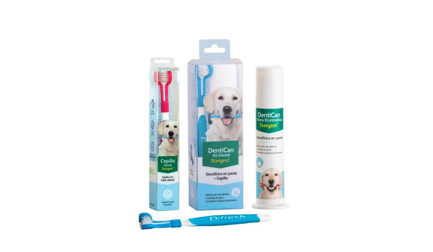KIT DENTAL DENTICAN CEPILLO + PASTA