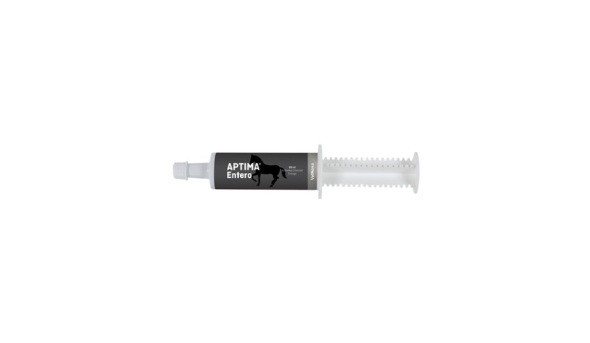 APTIMA ENTERO 60 GR PASTA ORAL