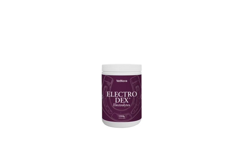 ELECTRO DEX 1 13 KG