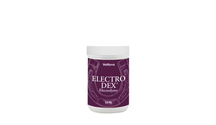 ELECTRO DEX 2 6 KG
