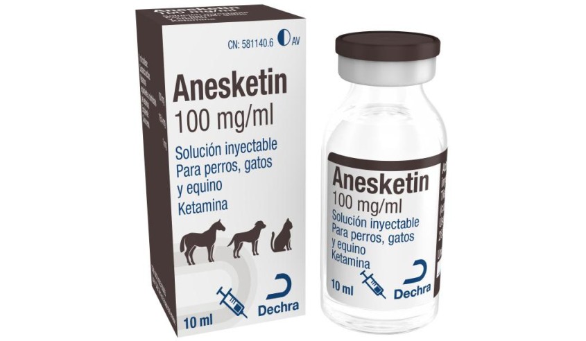 ANESKETIN INY. 10ML AV