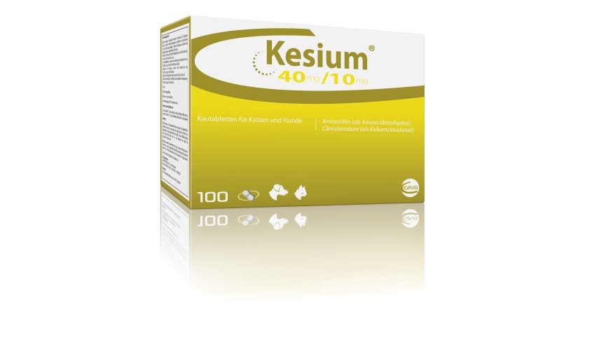 KESIUM 40/10 MG - PERRO Y GATO -100 COMP