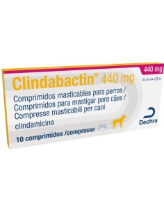 CLINDABACTIN 440 MG 10 COMP