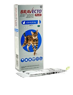 BRAVECTO PLUS CAT 250 MG 1...