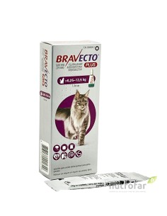 BRAVECTO PLUS CAT 500 MG 1...