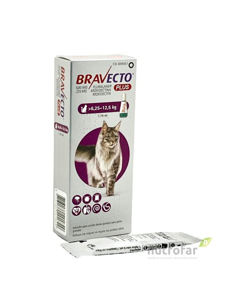 BRAVECTO PLUS CAT 500 MG 1 X 1 DS