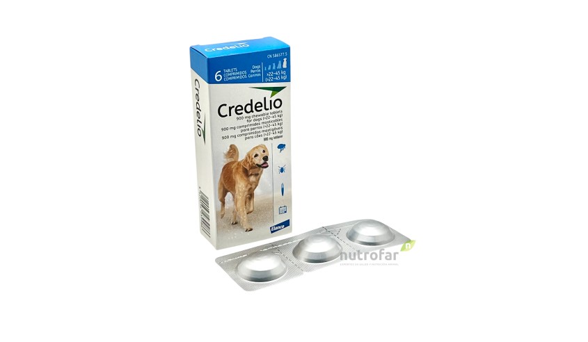 CREDELIO 900 MG +22-45 Kg 6 COMP (AZUL)