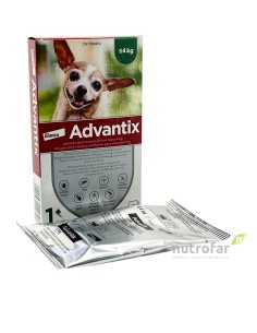 ADVANTIX 0 - 4 KG 1 PIP  X... 2