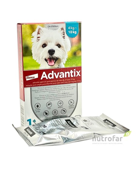 ADVANTIX 4 - 10 KG 1 PIP  X 1 ML