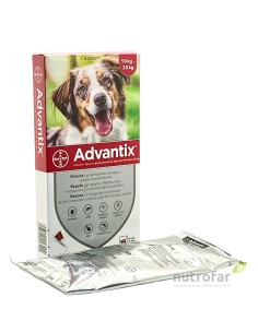 ADVANTIX 10 - 25 KG 1 PIP...