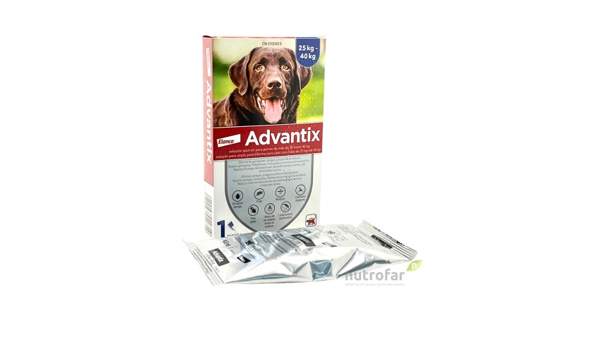 ADVANTIX 25 - 40 KG 1 PIP  X 4 ML
