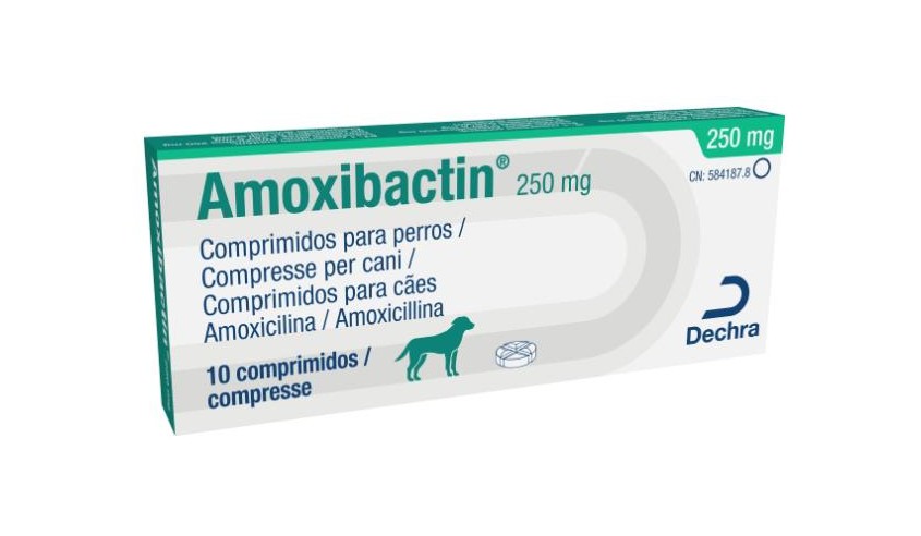 AMOXIBACTIN 250 MG 10 COMP
