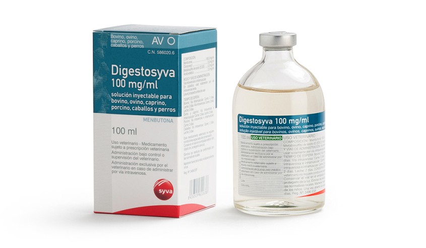 DIGESTOSYVA INY  100 MG/ML 100 ml AV