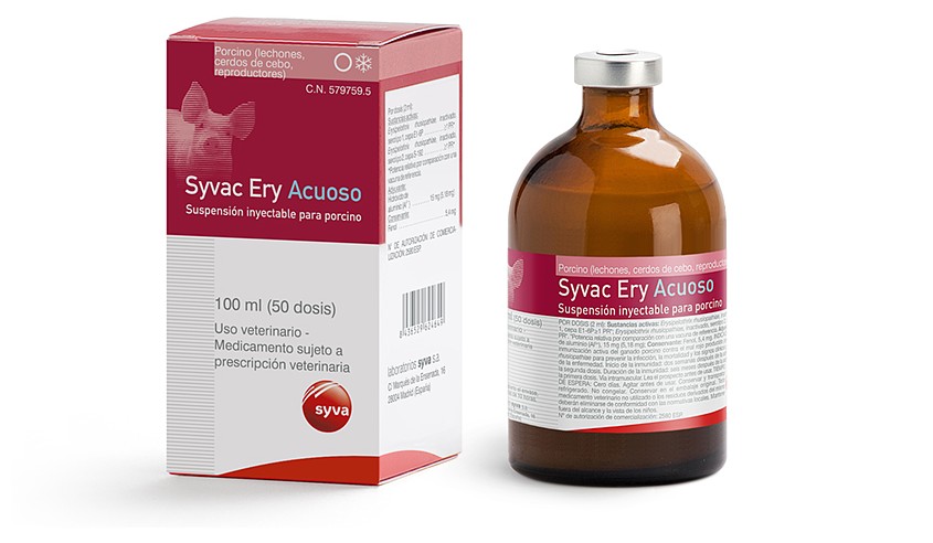 SYVAC ERY ACUOSO 100 ML 50 DS