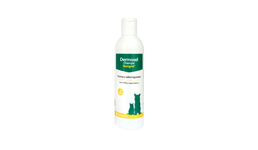 DERMOSEL CHAMPÚ 250 ML