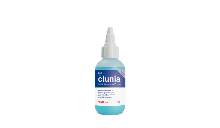 CLUNIA MAINTENANCE ZNGEL 59 ML ADVANCED FORMULA