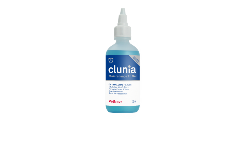 CLUNIA MAINTENANCE ZNGEL 120 ML ADVANCED FORMULA