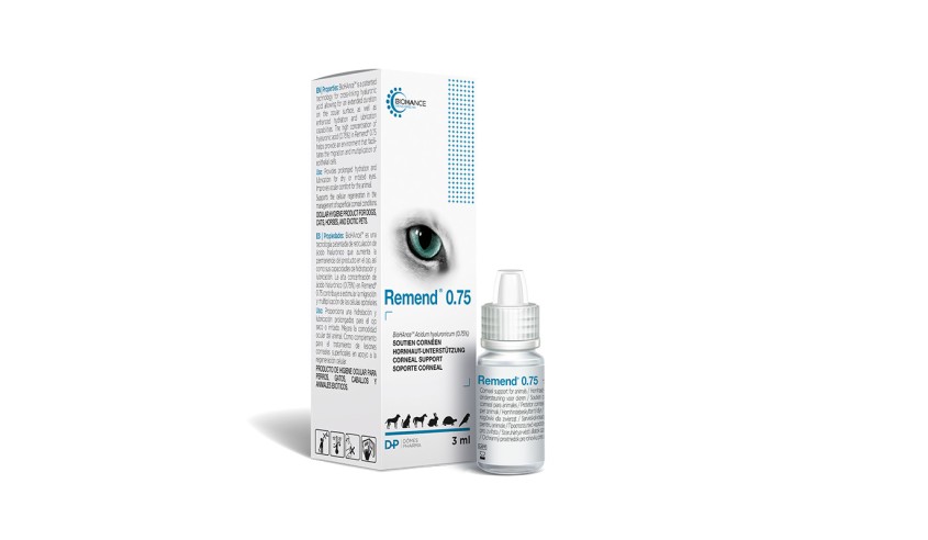 REMEND 0 75 3 ML