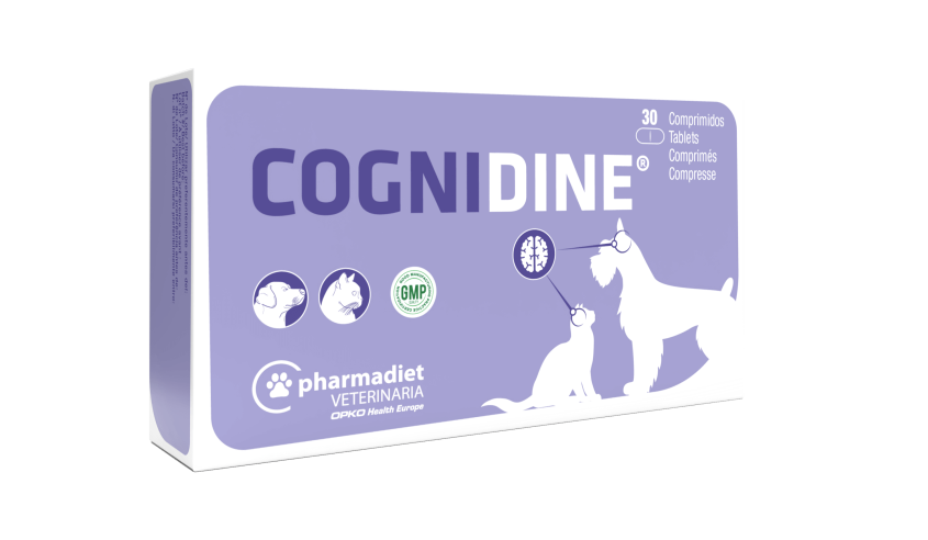 COGNIDINE 30 COMP