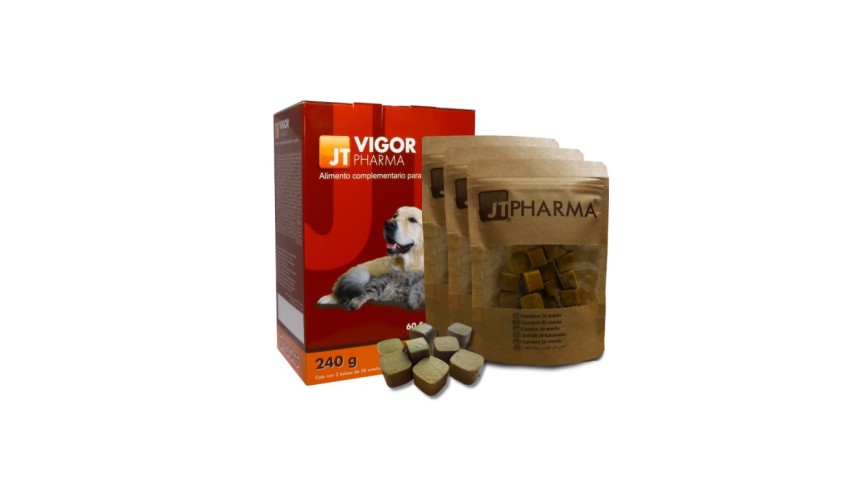 VIGOR PHARMA 60 SNACK 4 GR