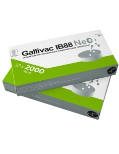 GALLIVAC IB88 NEO 10 X 2000 DS
