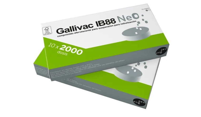 GALLIVAC IB88 NEO 10 X 2000 DS