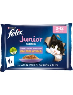 FELIX FANTASTIC JUNIOR...