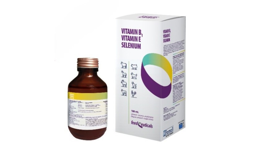 VITAMIN B1 E-SELENIUM 100 ML