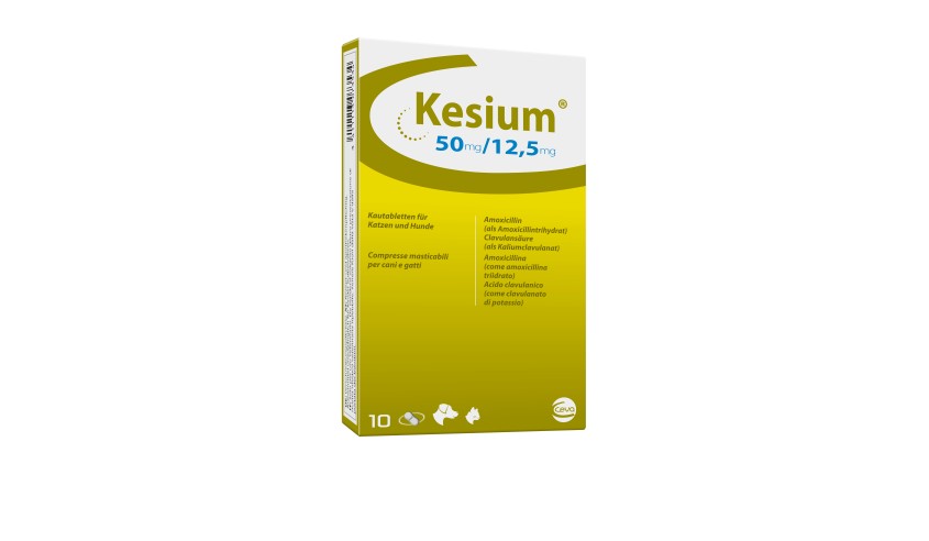 KESIUM 50/12,5 MG 10 COMP