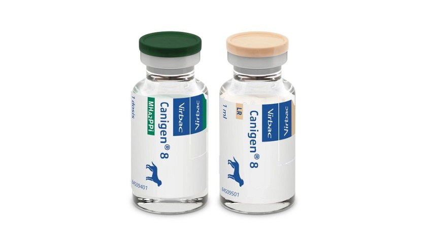 CANIGEN 8  DHPPI+L+R  10 DS