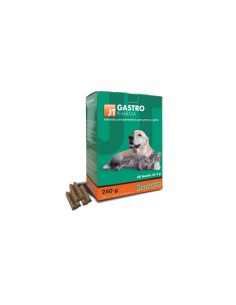 GASTRO PHARMA 60 SNACK 4 GR