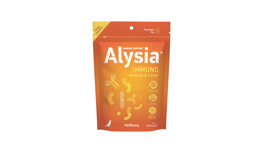ALYSIA IMMUNO MEDIUM & LARGE 30 CHEWS