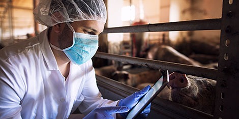 Las mejores prácticas para la prevención de enfermedades en la industria cárnica