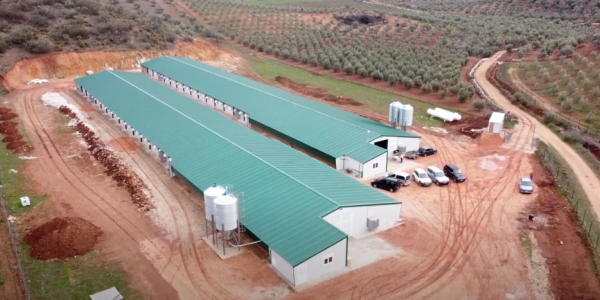 ¿Qué requisitos se necesitan para montar una granja de pollos?